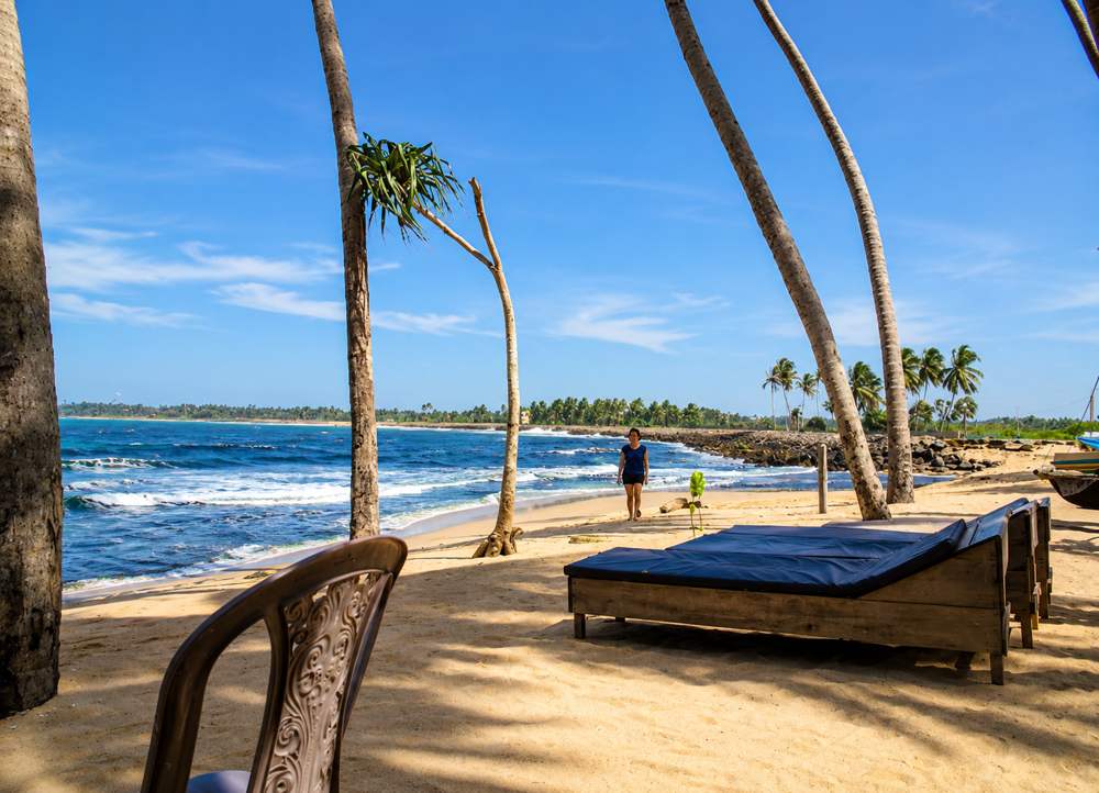 Sun loungers under the palms on the quiet beach beside the hotel