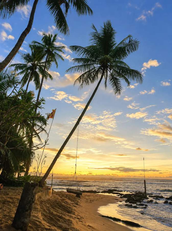 Sunset over the palm-fringed beach beside Cool Beach Hotel in Akurala